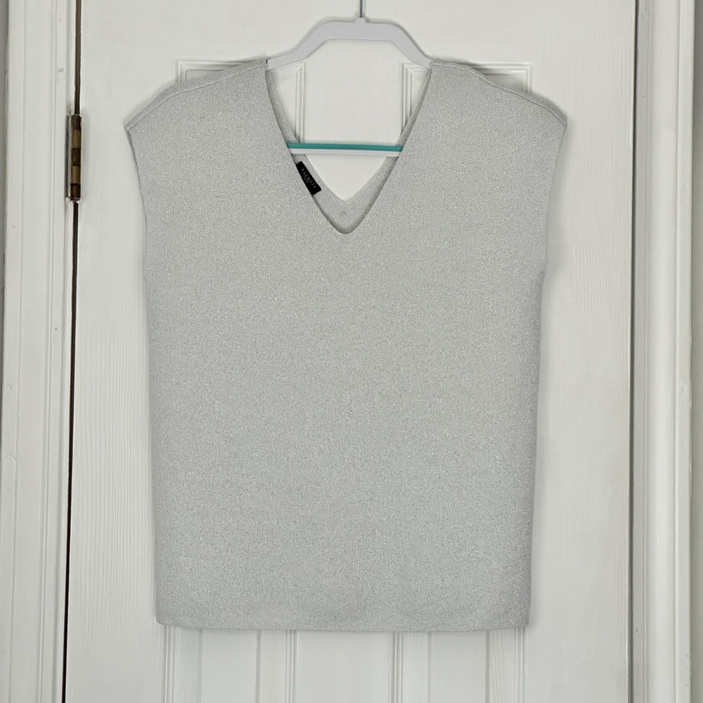 NWT Talbots Women’s Sleeveless Top in Light Metallic Silver